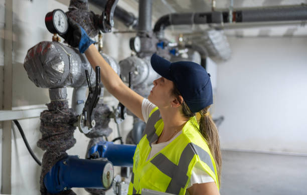 Best Local Plumber Services  in Hillandale, MD